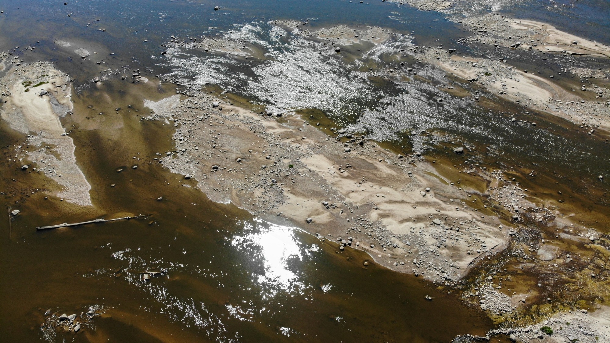 Susza na Wiśle - zdjęcie 22