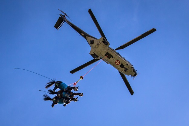 W Szwajcarii testowano możliwość transportu koni helikopterem