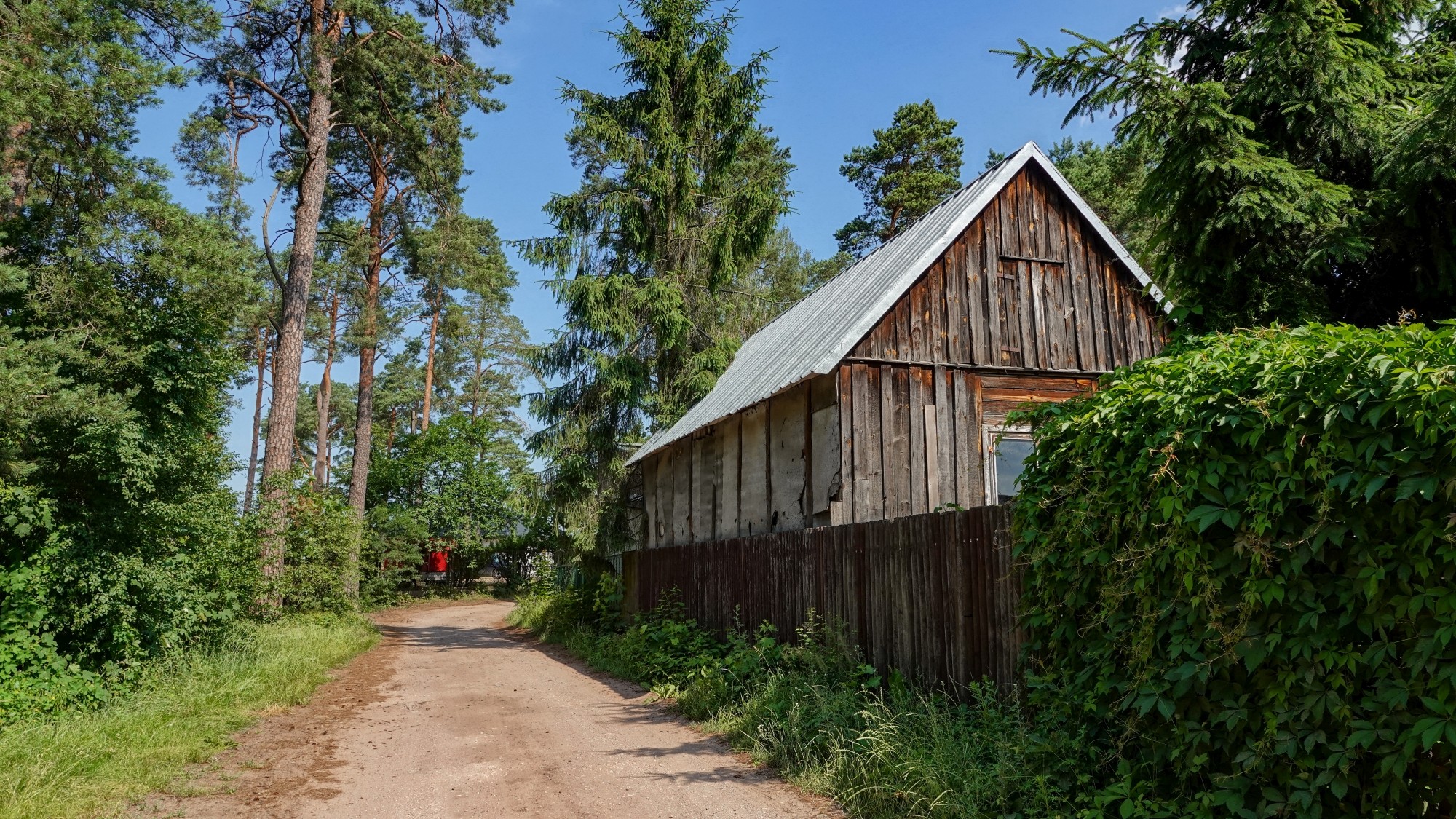 100 najpiękniejszych zdjęć 2020 roku - zdjęcie 84