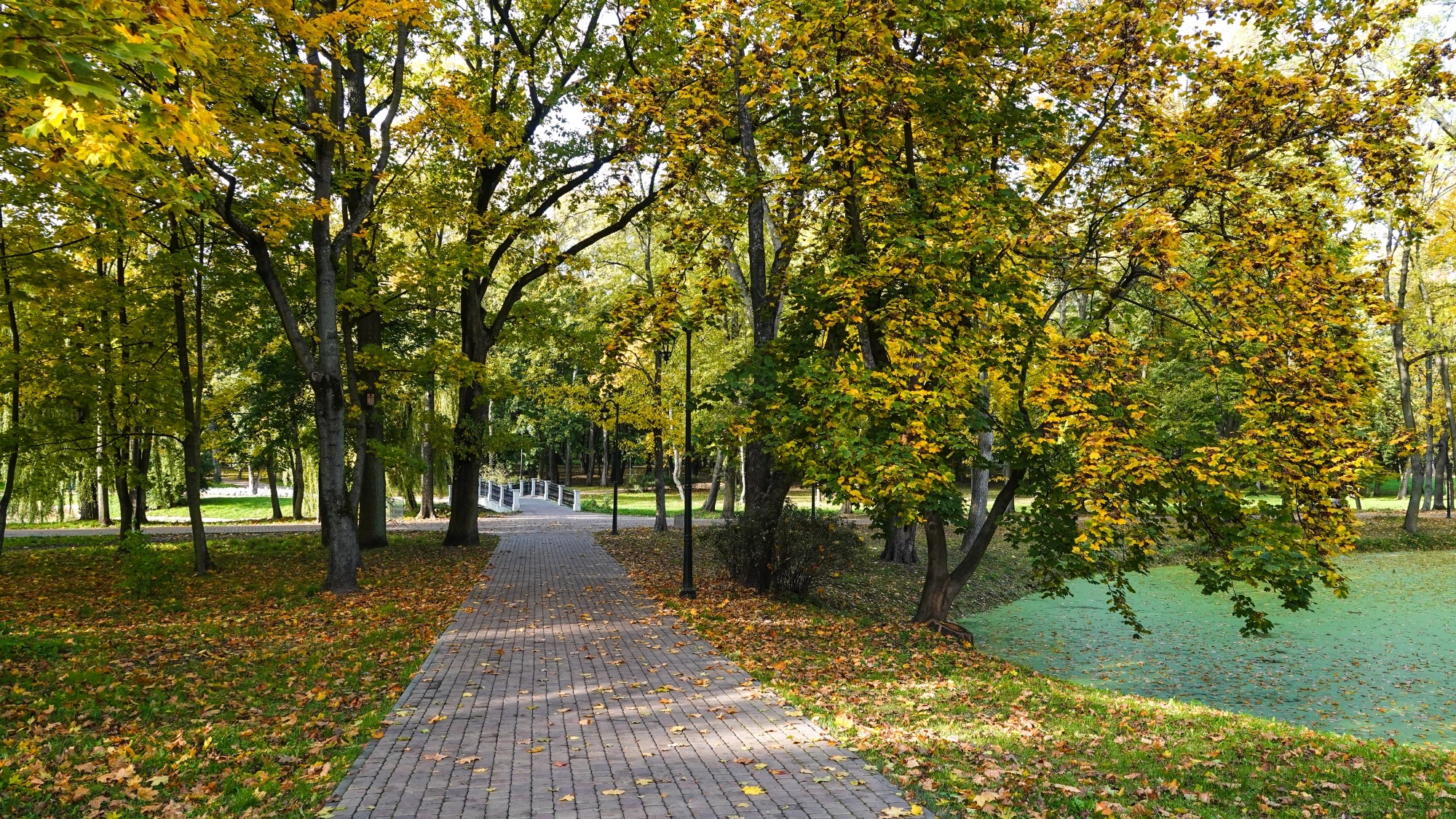 Wszystkie barwy jesieni - zdjęcie 31