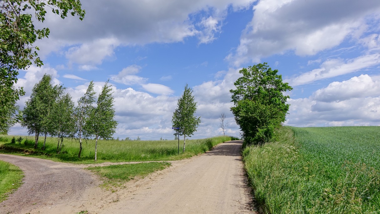 Polskie krajobrazy w 2018 roku - zdjęcie 25