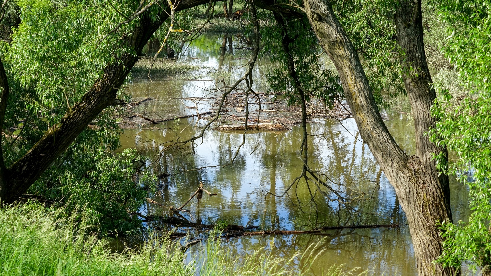 Maj w obiektywie - zdjęcie 58
