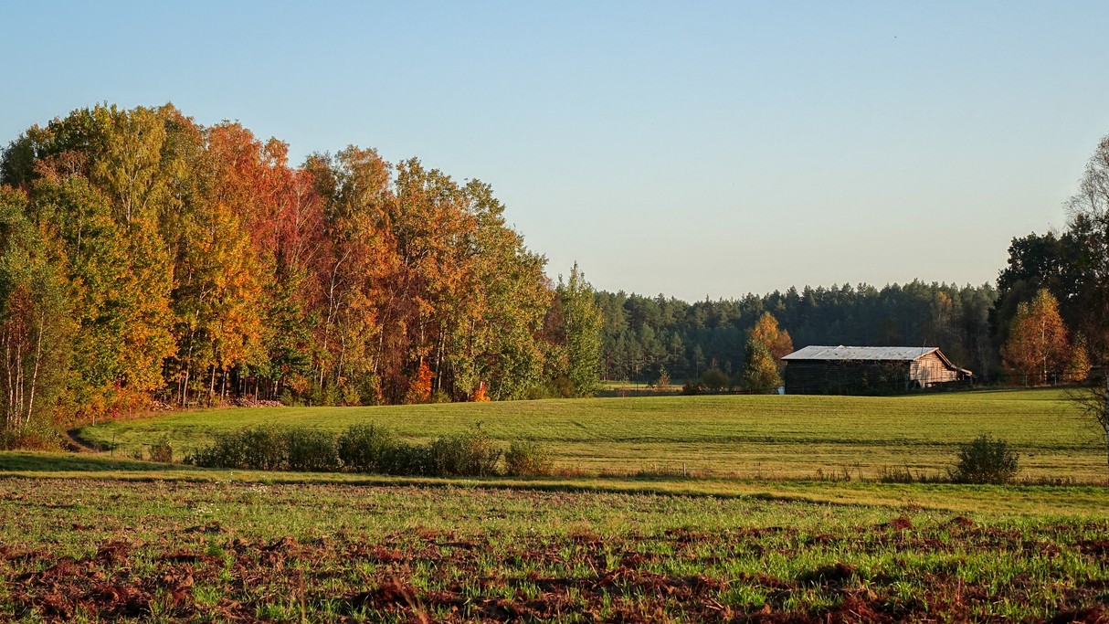 Jesienne krajobrazy za miastem - zdjęcie 21