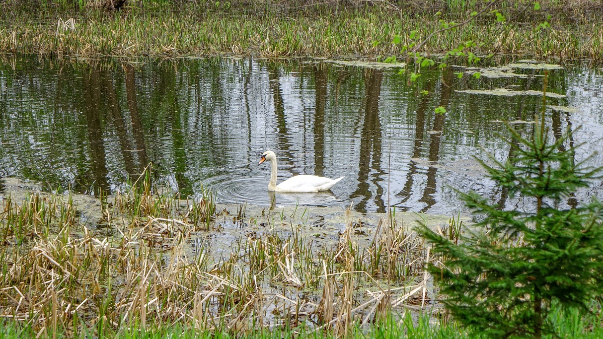 Kwiecień w obiektywie - zdjęcie 14