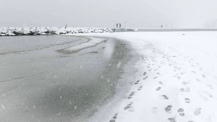 11.01.2022 05:58 Tak wyglądał popularny włoski kurort nad Adriatykiem. Turyści przecierali oczy ze zdumienia na widok śniegu