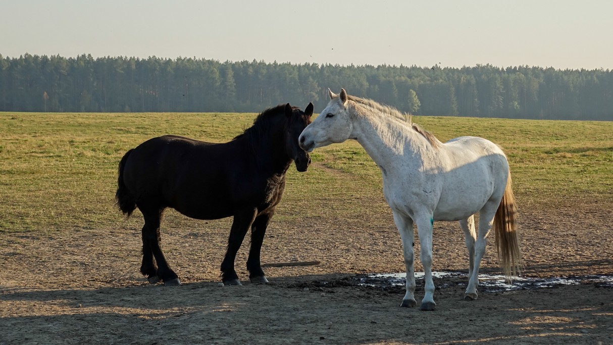 Październik w obiektywie - zdjęcie 25