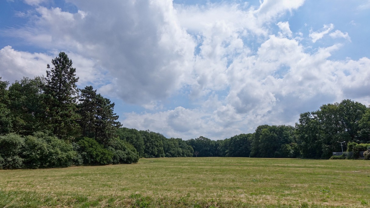 Czerwiec w obiektywie - zdjęcie 58