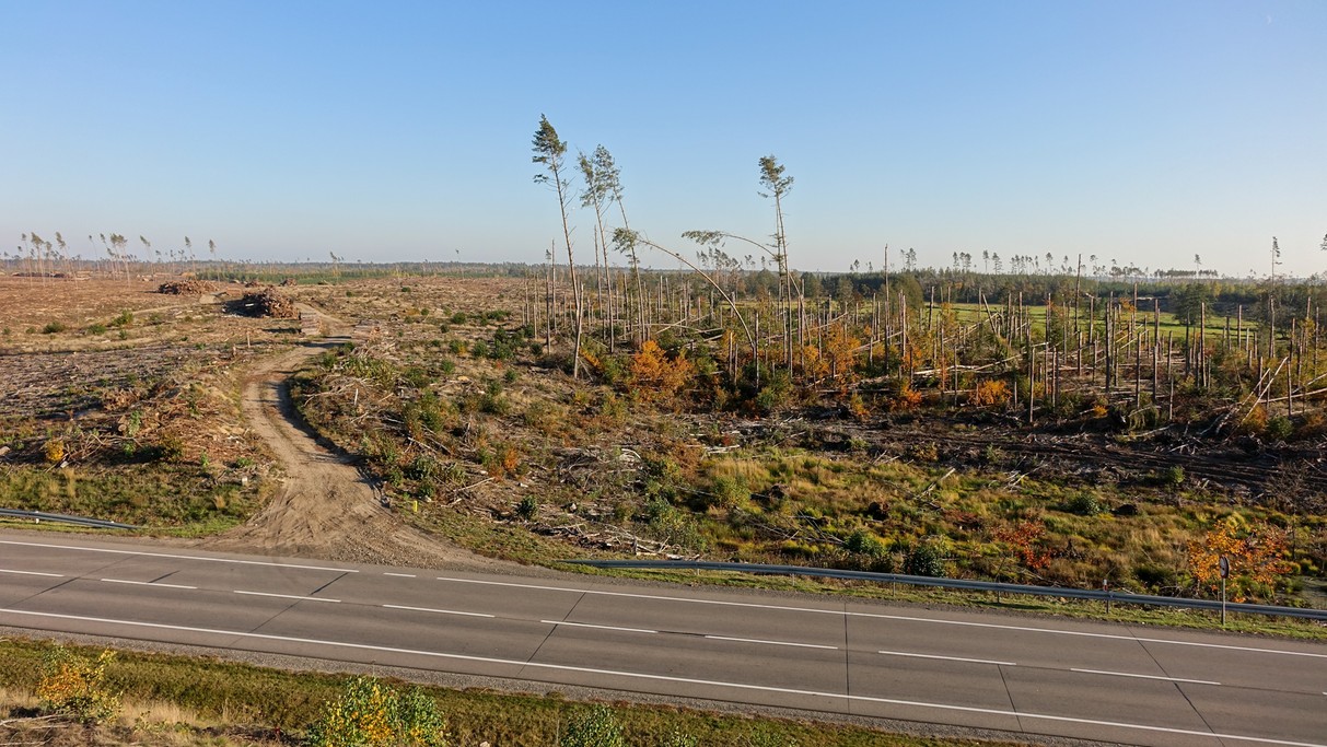Październik w obiektywie - zdjęcie 15