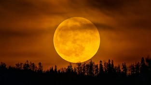 08.05.2023 05:54 To było spektakularne! Kukurydziany Księżyc wszedł w półcień Ziemi. Zobacz, jak to wyglądało
