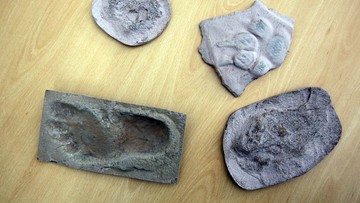 Polak odkrył najstarsze ślady "praludzi". Pochodzą z Krety