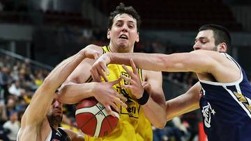 FIBA Europe Cup: Energa Trefl Sopot - Absheron Lions na żywo. Relacja live i wynik online