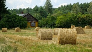 15.08.2020 10:20 Prognoza 16-dniowa: Upał dobiega końca. Widać pierwsze powiewy wczesnej jesieni [MAPY]