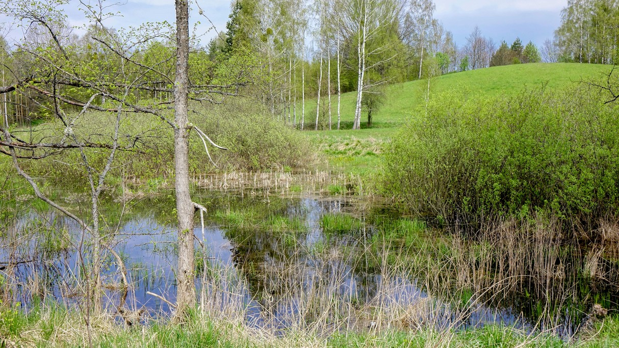 Maj w obiektywie - zdjęcie 29