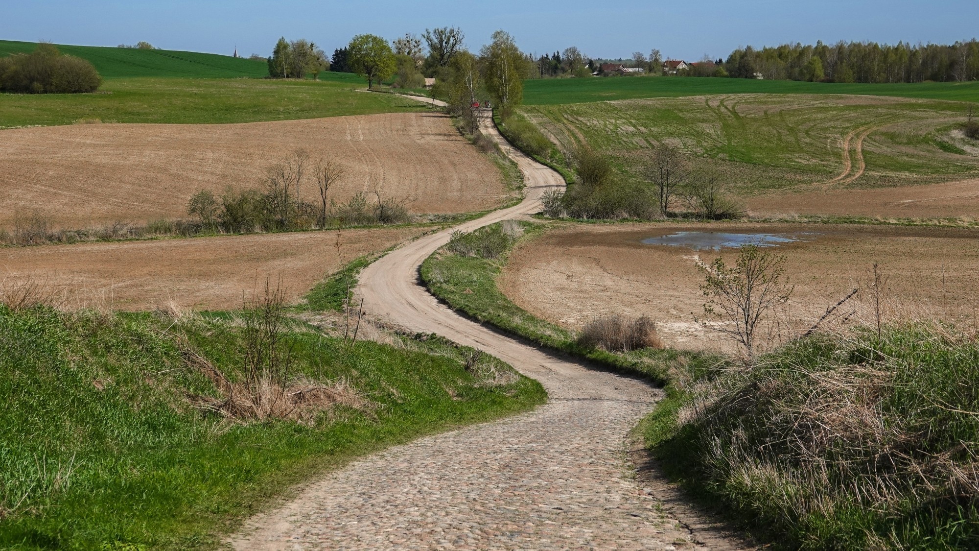 W maju jak w raju - zdjęcie 4