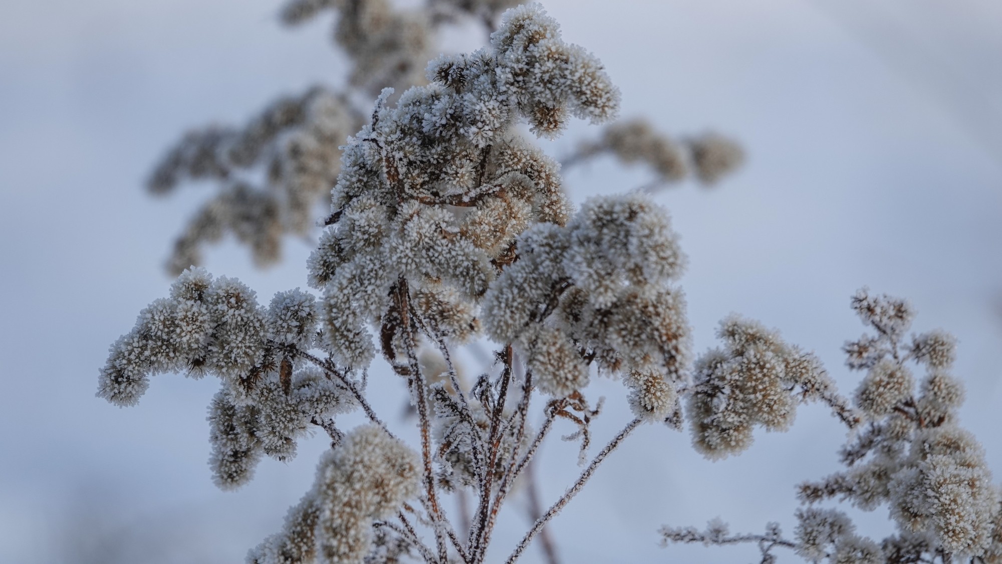 Na lodowym szlaku - zdjęcie 48