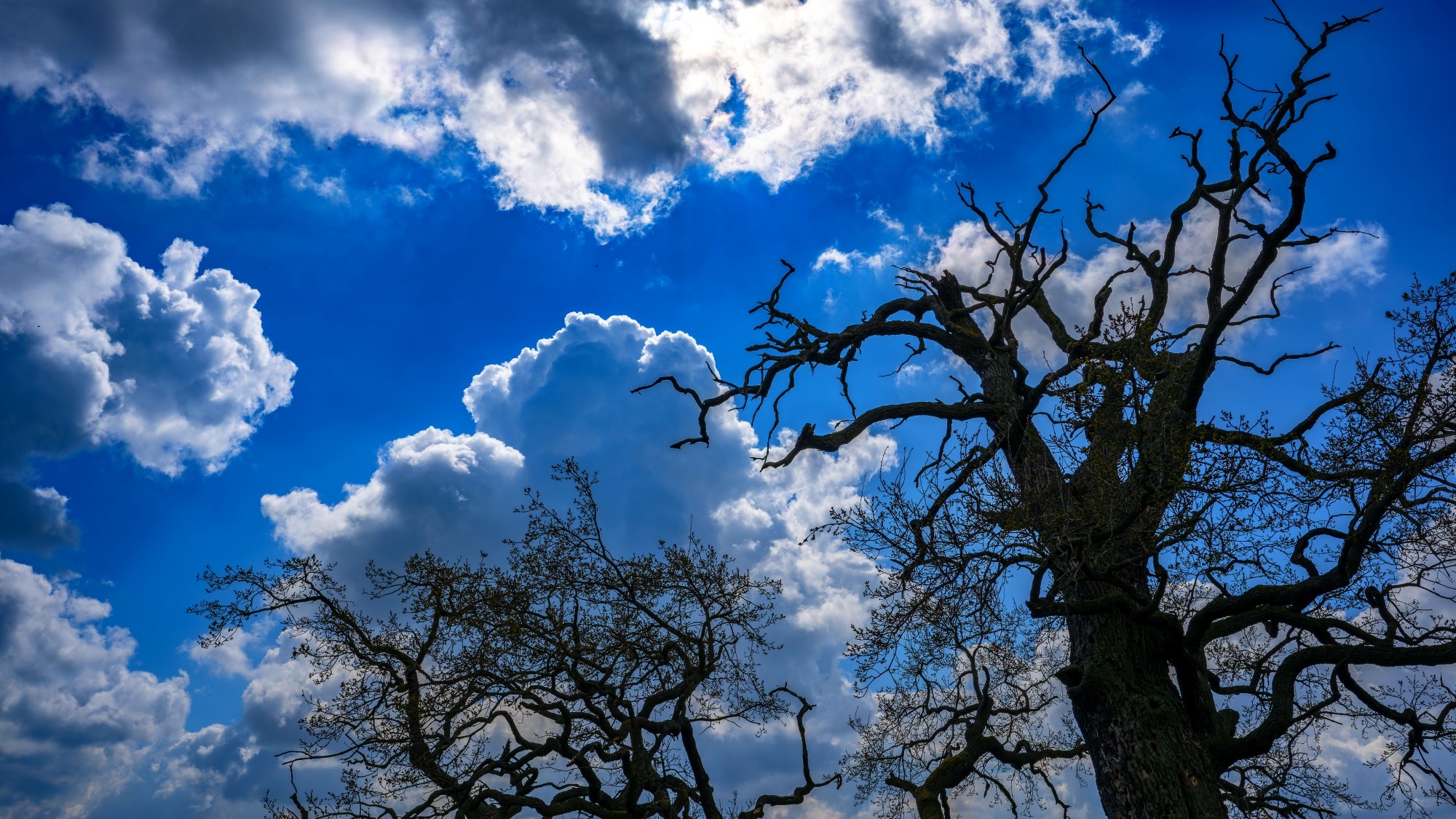 Niebo nad nami - zdjęcie 45