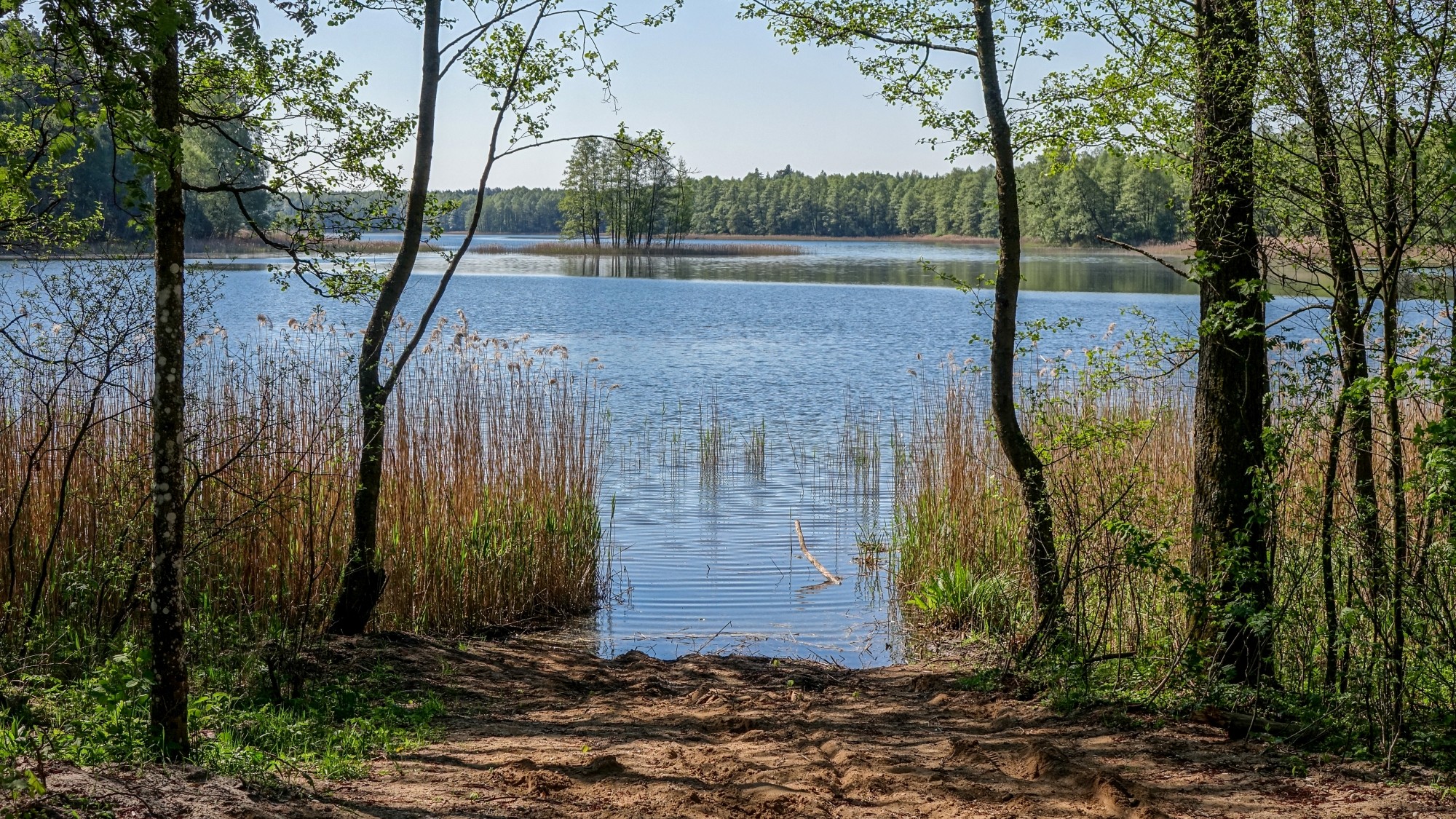 Urocze zakątki w lasach - zdjęcie 10