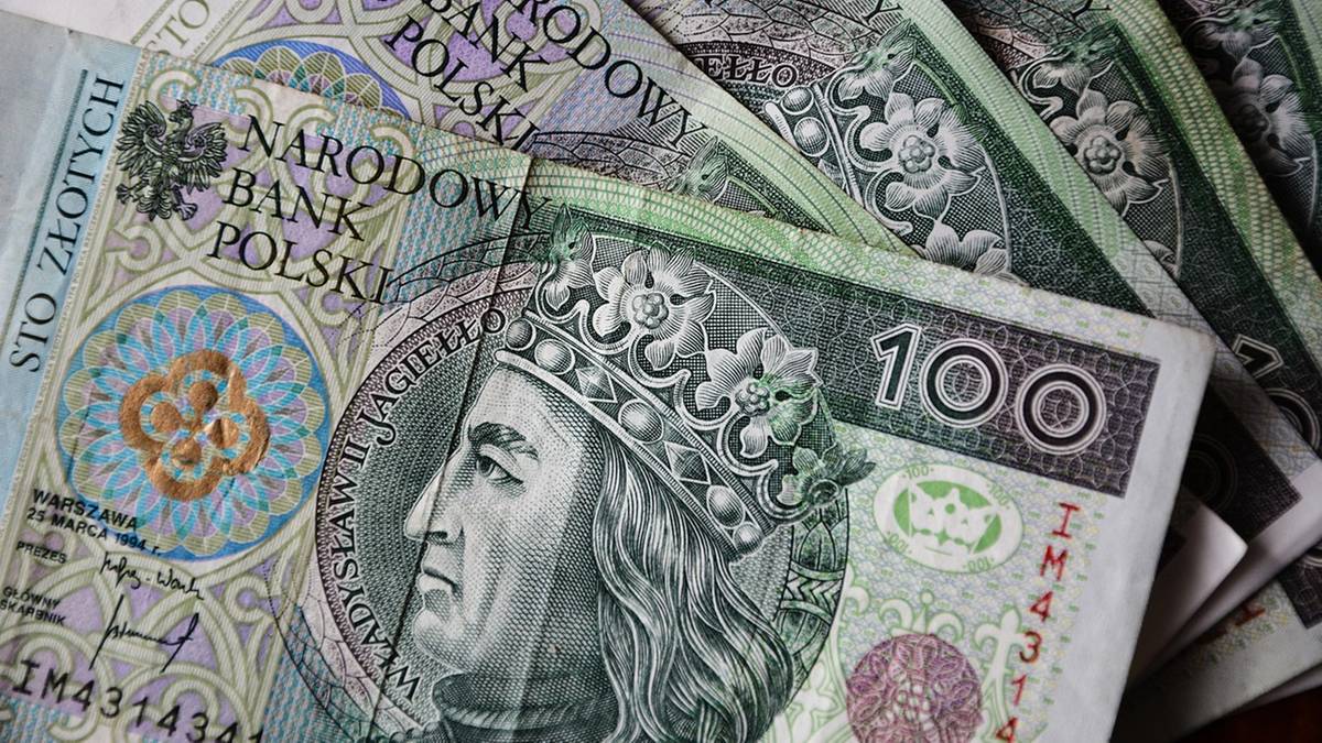 Walczą o PLN. Koalicja dla Gotówki chce ustawowej ochrony