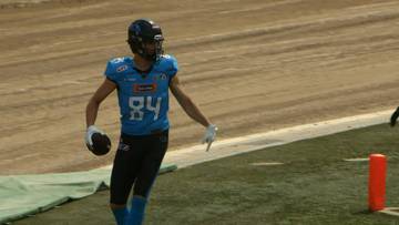 Vienna Vikings - Panthers Wrocław. Gdzie obejrzeć? Transmisja TV i stream online