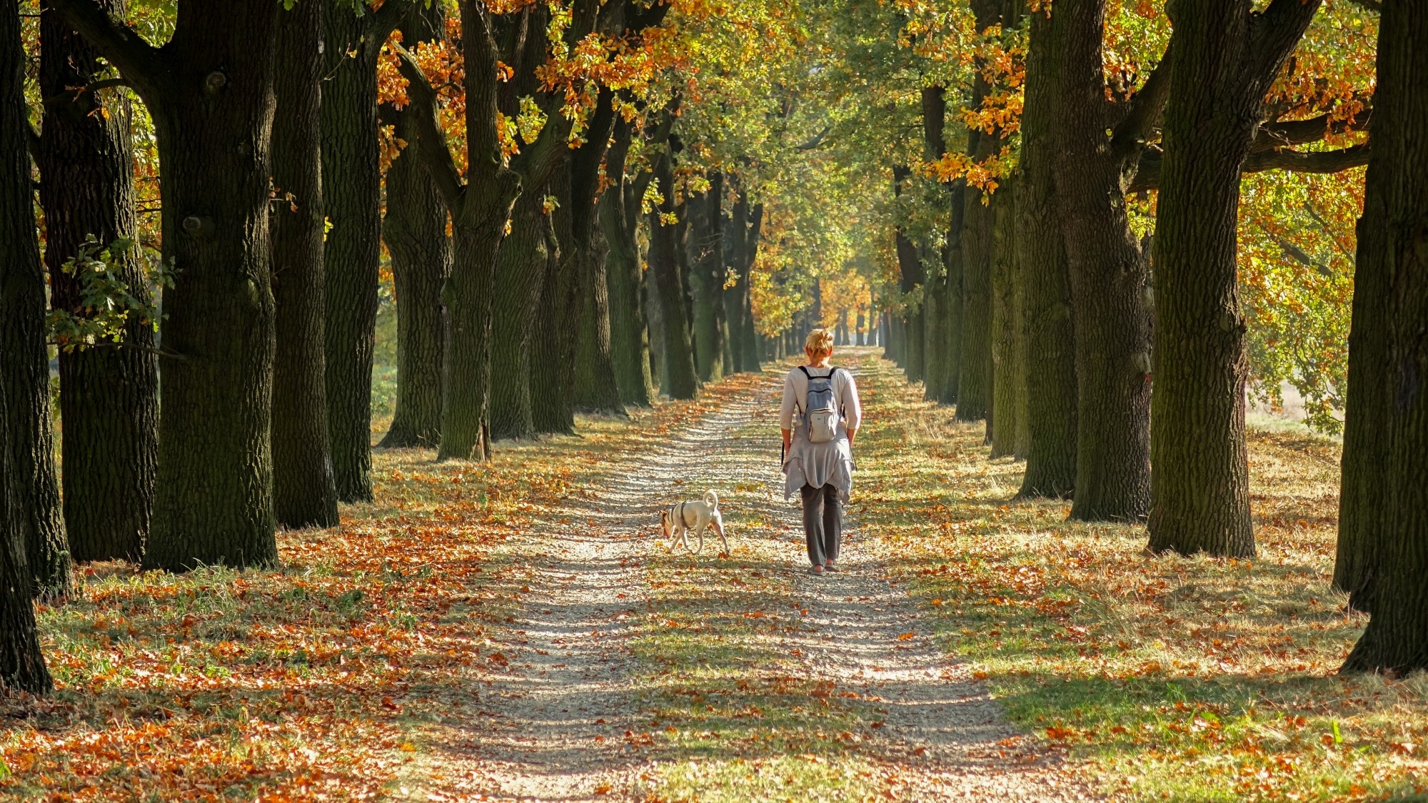 Jesień w górach, lasach i nad jeziorami - zdjęcie 12