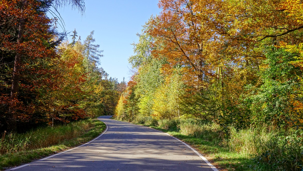 Najpiękniejsze polskie drogi - zdjęcie 22