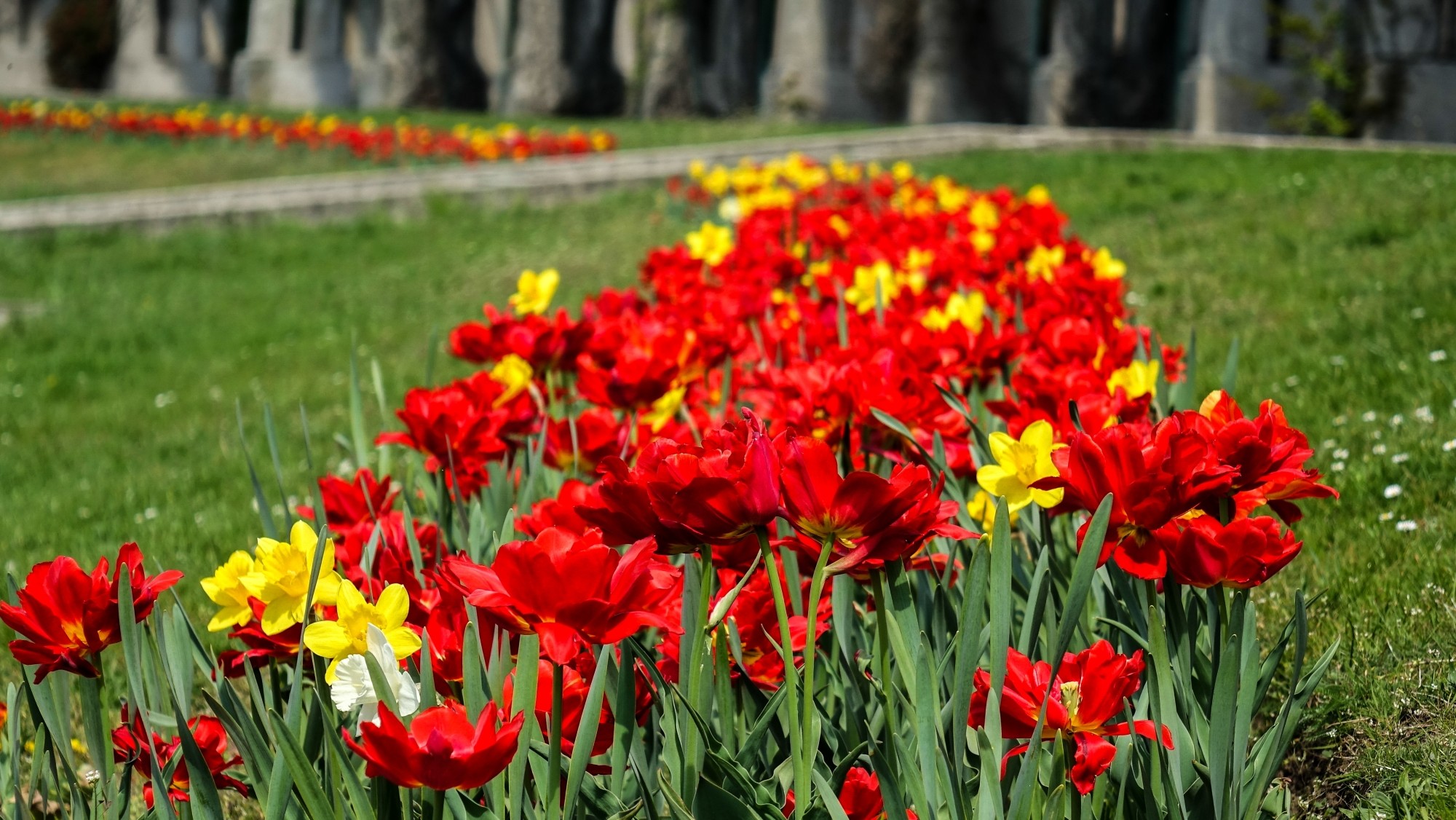 Kwitnąca wiosna - zdjęcie 8