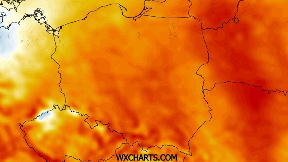 Po chłodniejszym weekendzie i początku przyszłego tygodnia temperatury znowu wzrosną