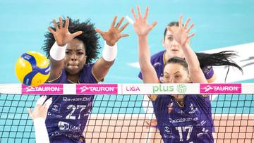 Pokaz siły Developresu! Siatkarska demolka w meczu Tauron Ligi