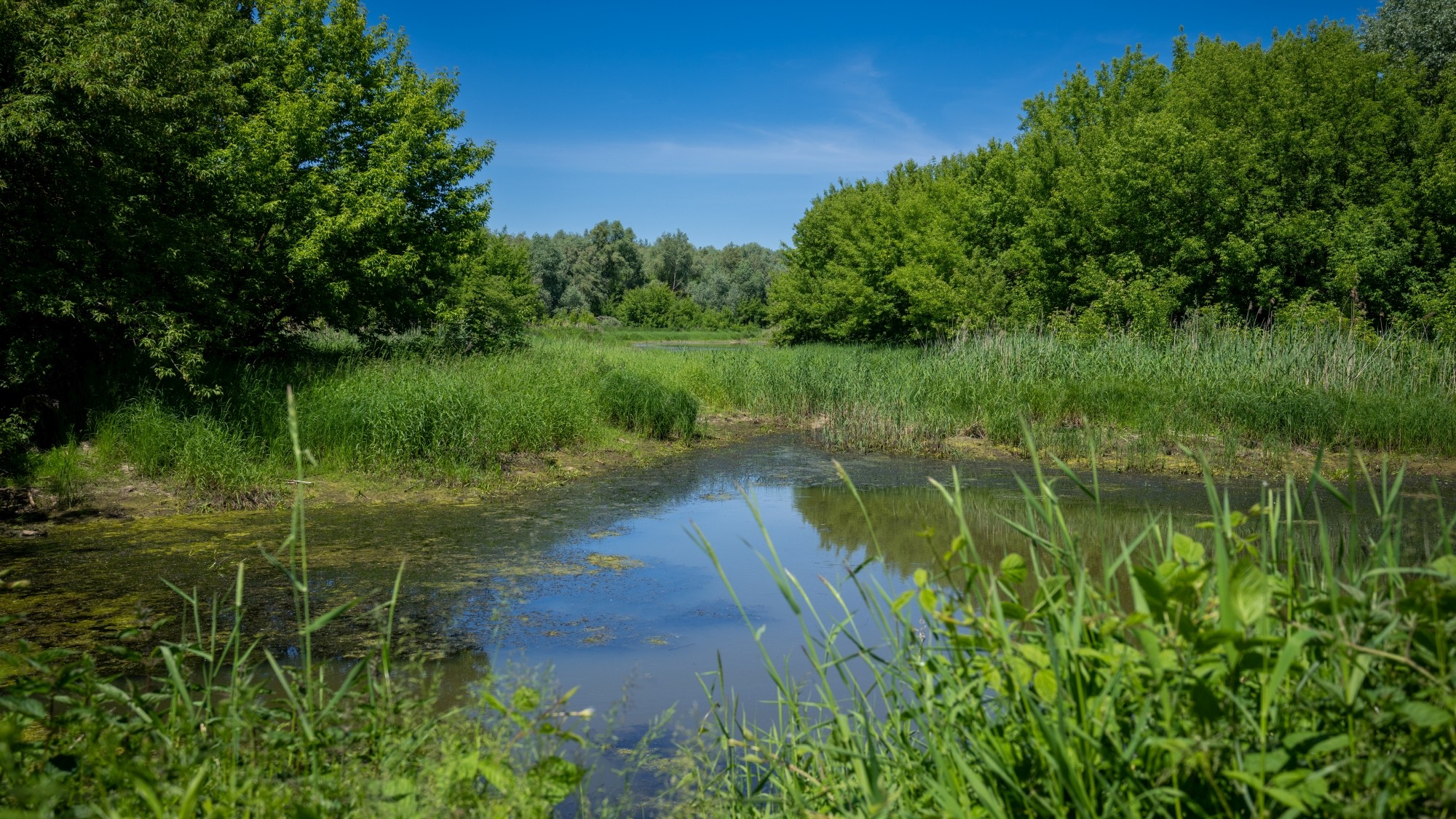 Lato na prowincji - zdjęcie 30