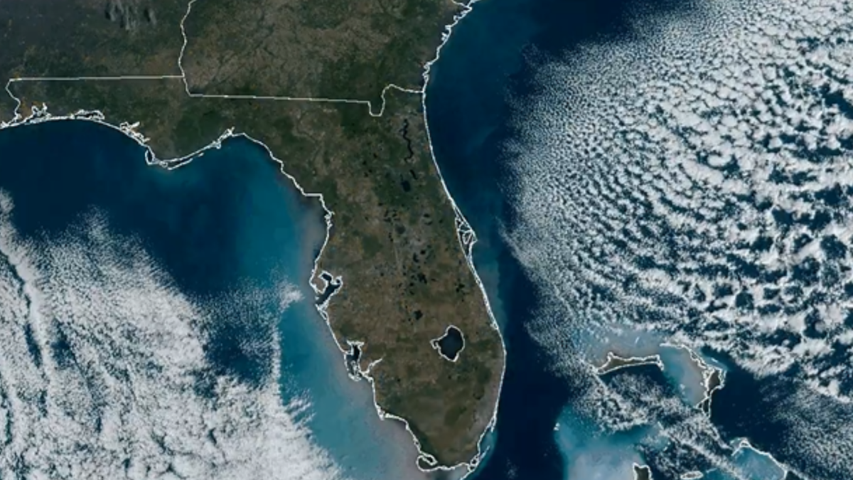 Zimowa pogoda dotarła na Florydę, gdzie spadł śnieg i odnotowano mrozy