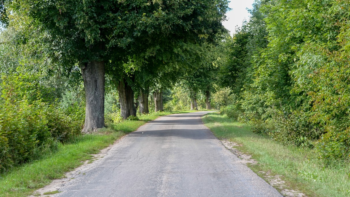 Sierpień w obiektywie - zdjęcie 18