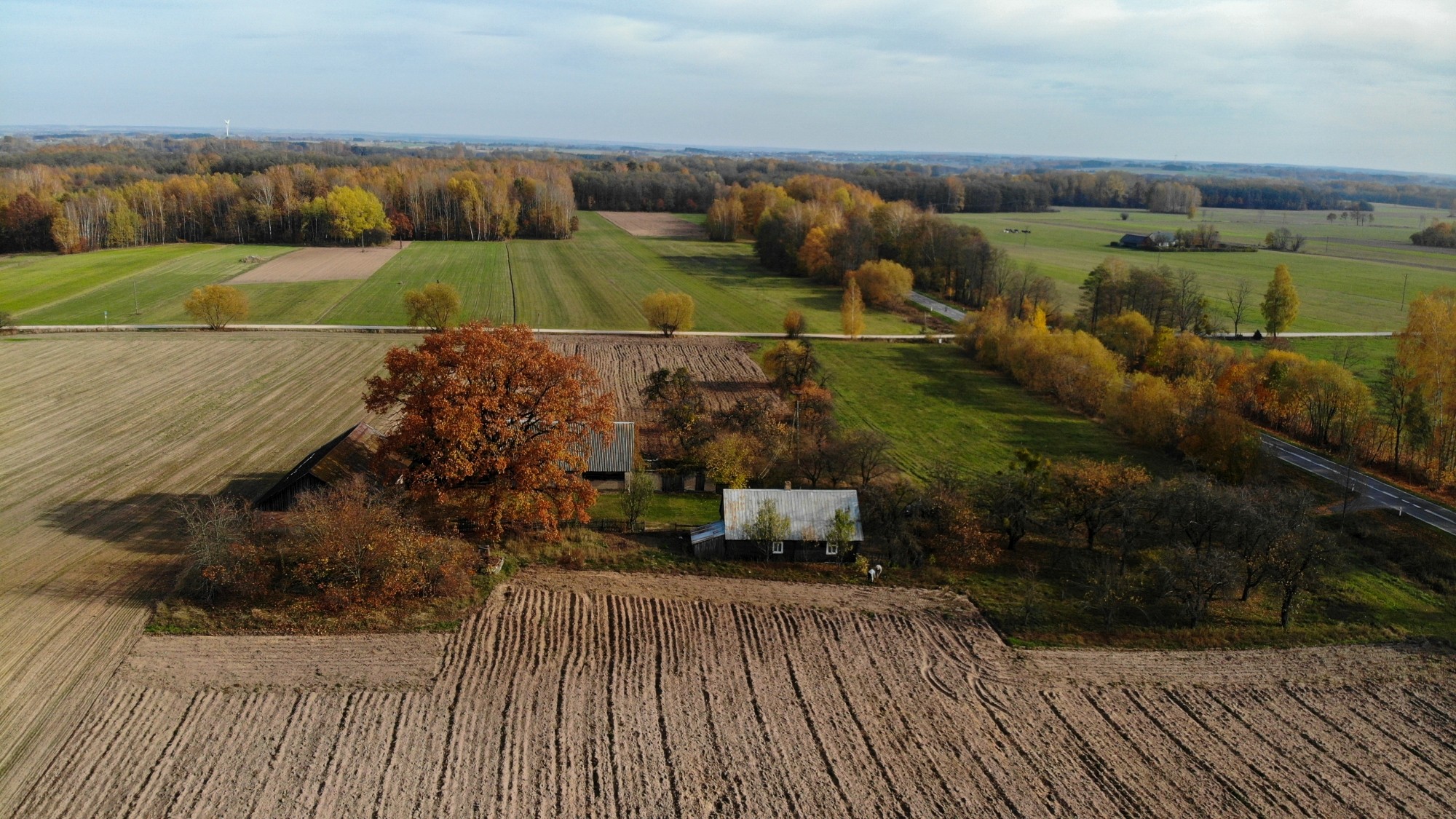 Jesień na nizinach z lotu ptaka - zdjęcie 11