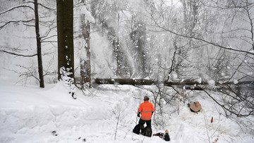 3 tys. odbiorców bez prądu, w Bieszczadach zamknięto wszystkie szlaki