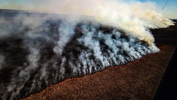 Płonie największy park narodowy w Polsce. "Straty w przyrodzie nie do odrobienia"