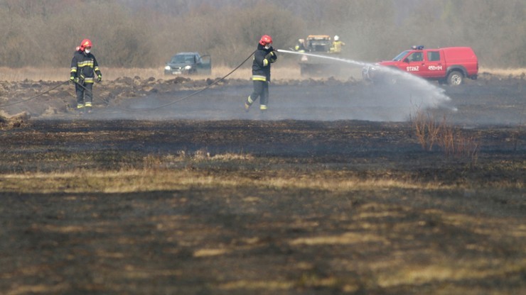 Pożar Biebrzańskiego Parku Narodowego. Umorzono śledztwo