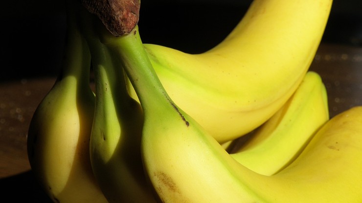 Bananowa katastrofa. Tych owoców niebawem może zabraknąć