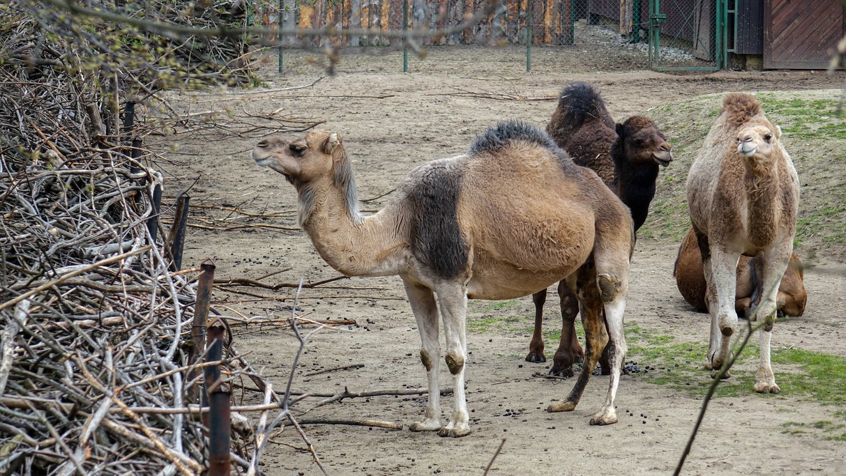 Marzec w obiektywie - zdjęcie 44