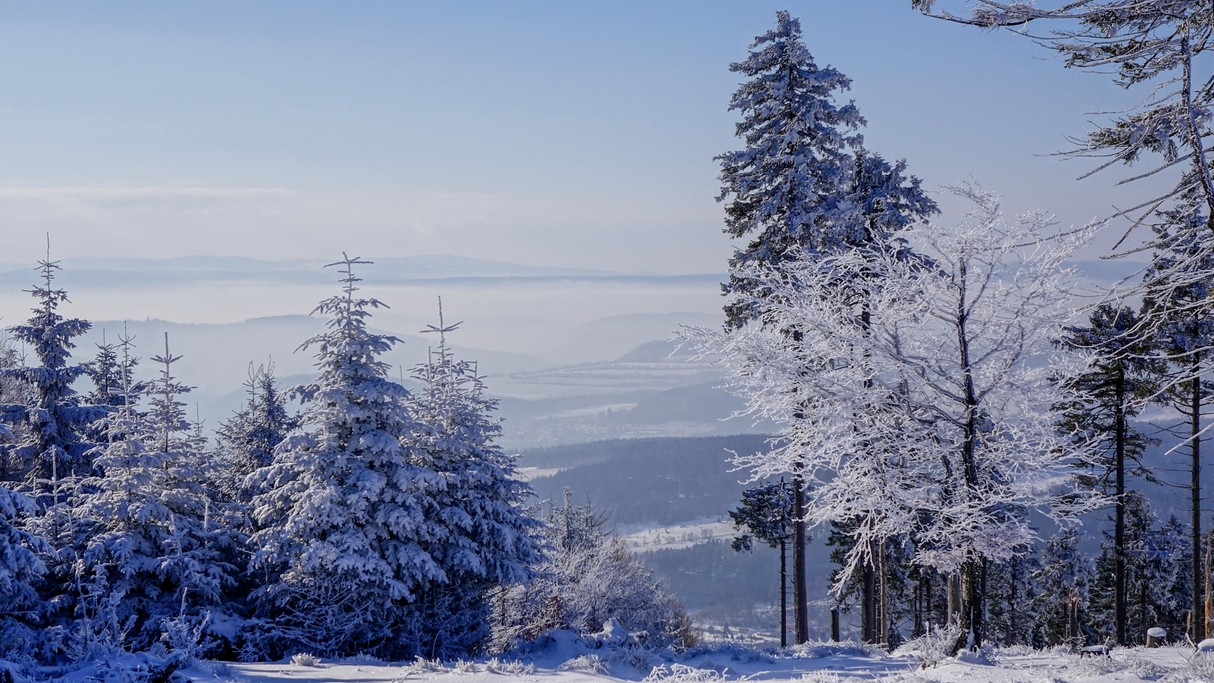 Luty w obiektywie - zdjęcie 45
