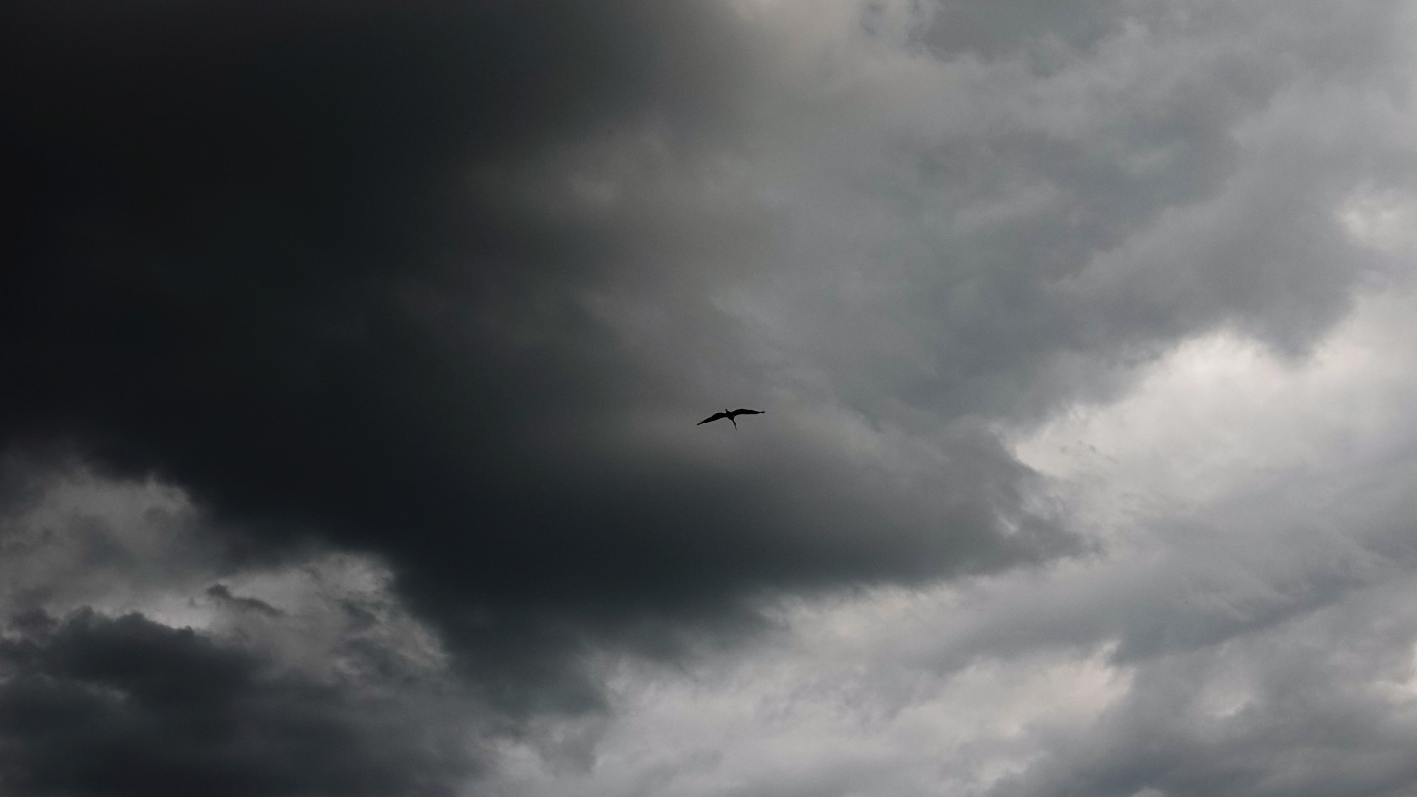 Lato w plenerze - zdjęcie 25