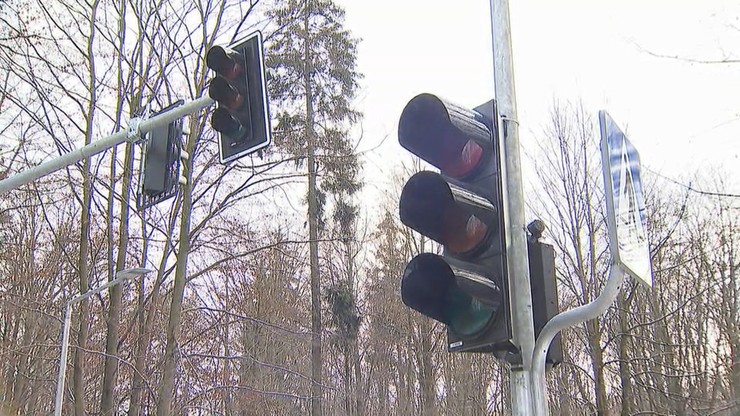 Sygnalizacja świetlna w środku lasu. Postawiono ją z ważnego powodu