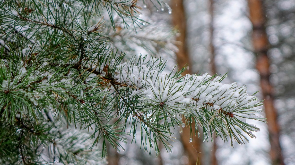 Grudzień w obiektywie - zdjęcie 13