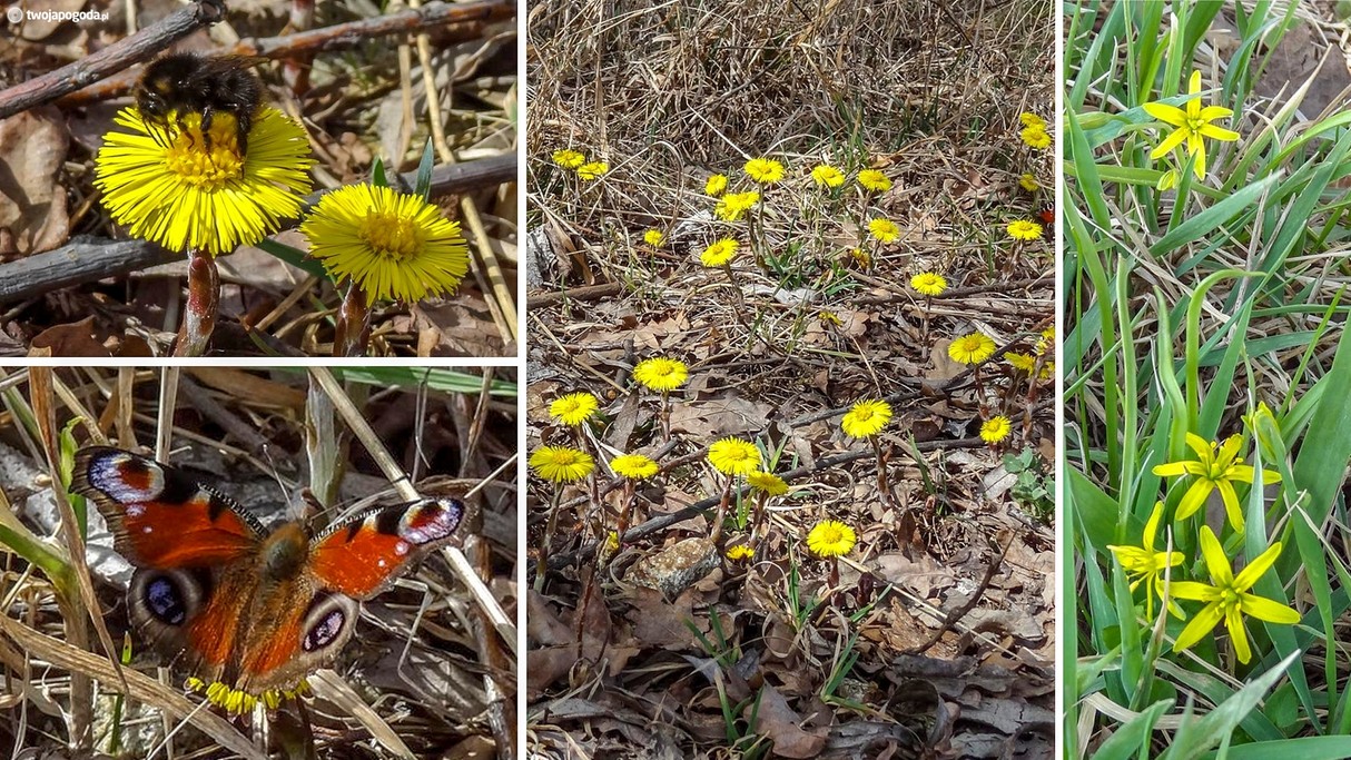 Kwiecień w obiektywie - zdjęcie 19