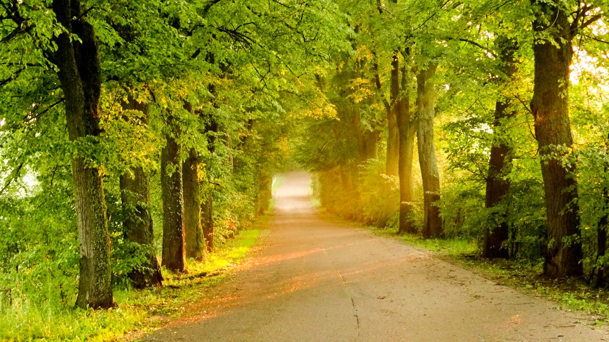 Zakochaj się w Polsce - zdjęcie 25