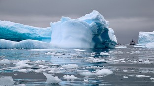 23.11.2021 05:56 Arktyka roztapiała się i nagle przestała. Tyle lodu, co w tym roku, nie było tam od 20 lat