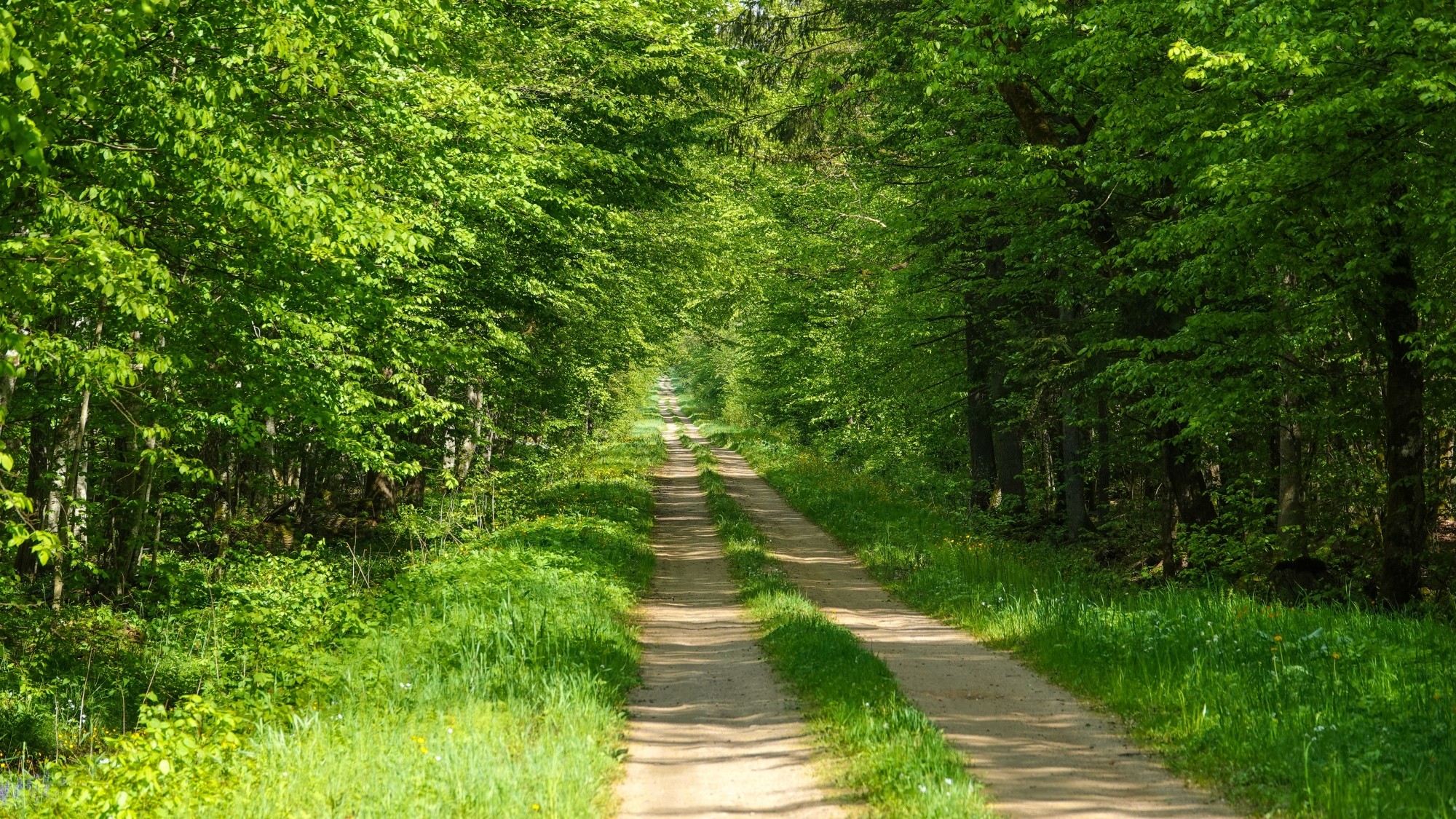 100 najpiękniejszych zdjęć 2021 roku - zdjęcie 63