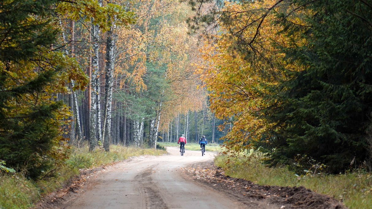 Jesienne krajobrazy za miastem - zdjęcie 35