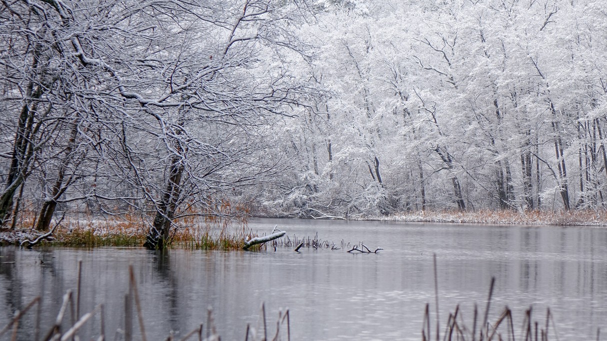 Nad morzem, jeziorami i rzekami - zdjęcie 83