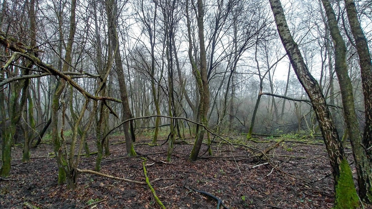 Listopad w obiektywie - zdjęcie 44