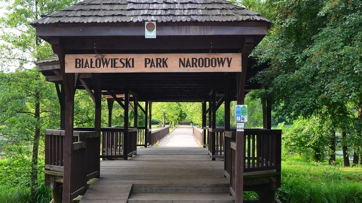 Dyrektor Białowieskiego Parku Narodowego odwołana przez Szyszkę. "Minister miał do tego prawo"