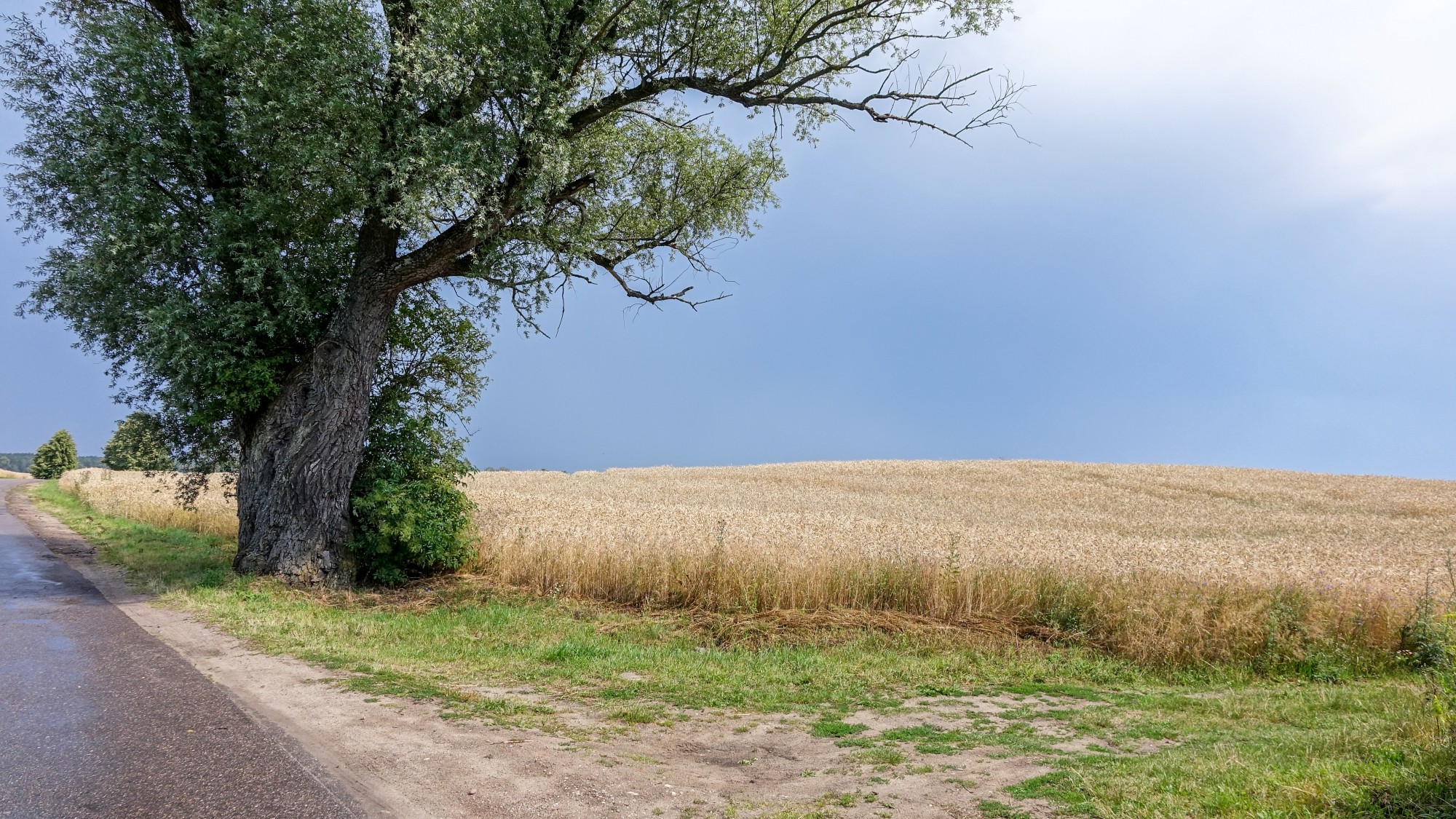 Wakacje minionych lat - zdjęcie 10